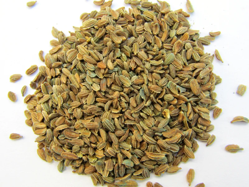 carrot-seed-oil